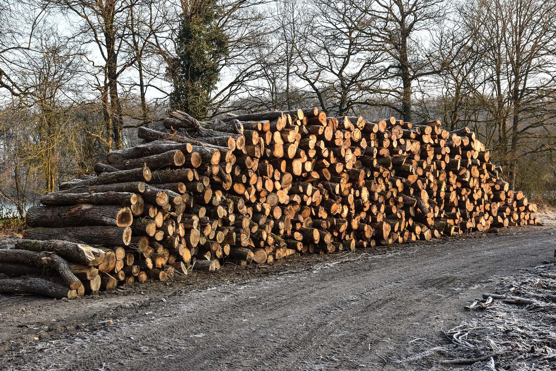 La gestion du bois de chauffage 